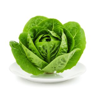 LETTUCE